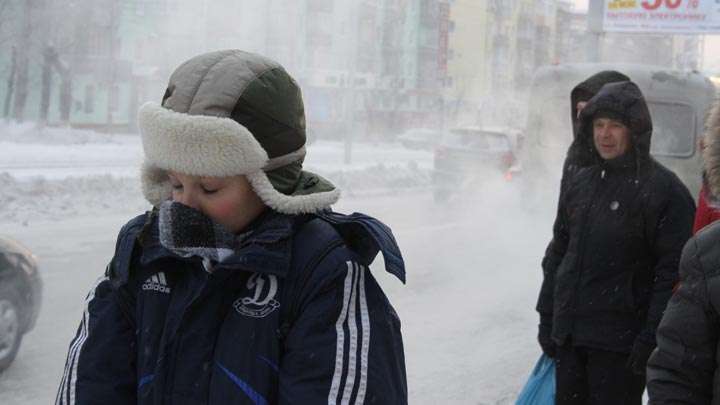 При какой температуре воздуха зимой можно не ходить в школу и на работу? | Каменские известия