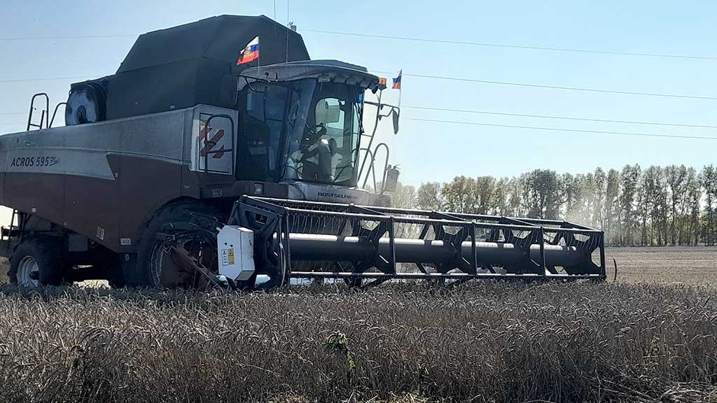 Фото: Евгений Шумилов