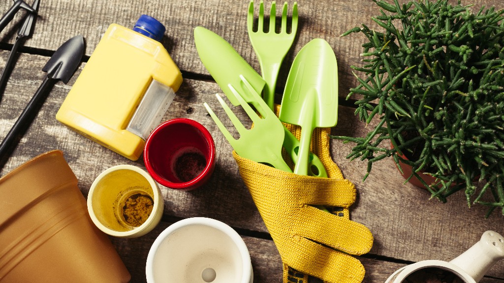 Фото: Magnific.com