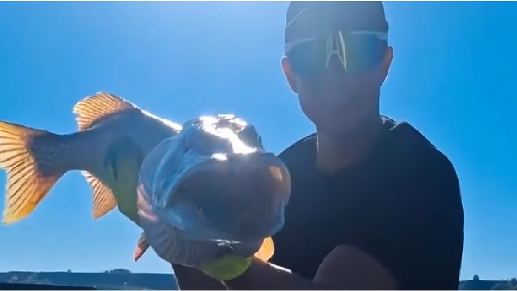 Скрин видео