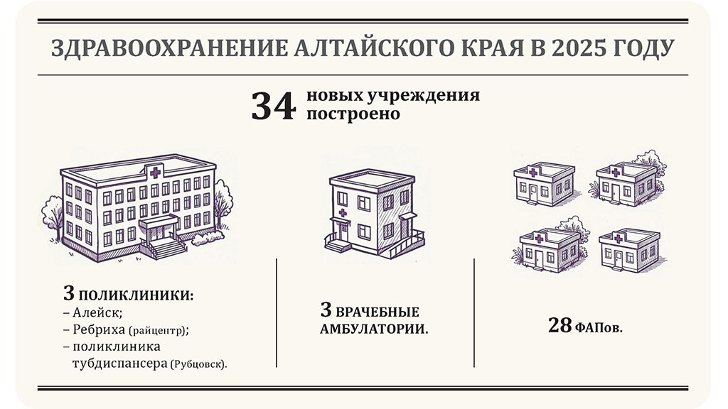 Инфографика: ap22.ru фото