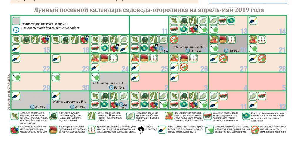 Дачный Лунный посевной календарь для садоводов и огородников на 2024 год